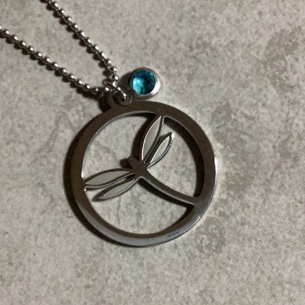 Elegant stainless steel Silver dragonfly Pendant with  18” Necklace.